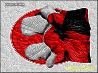[Click to enlarge]