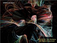 [Click to enlarge]
