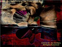 [Click to enlarge]
