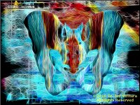 [Click to enlarge]