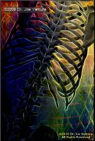 [Click to enlarge]