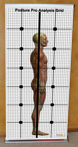 posture grid